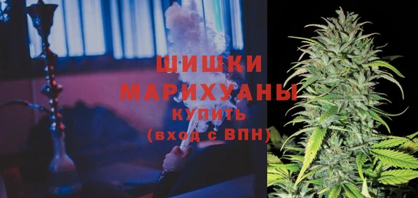 2c-b Вяземский