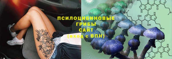 ECSTASY Волоколамск