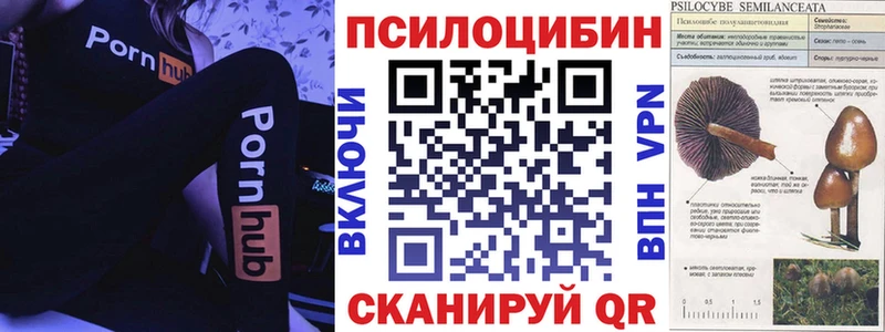 купить   Ефремов  Псилоцибиновые грибы ЛСД 